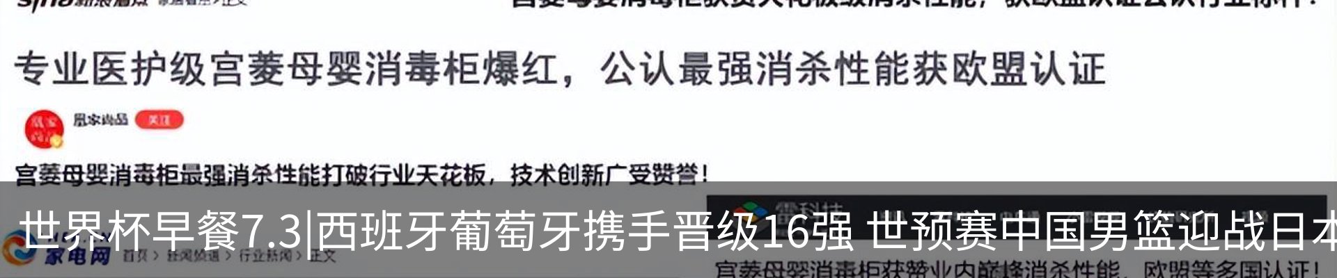 最新动态