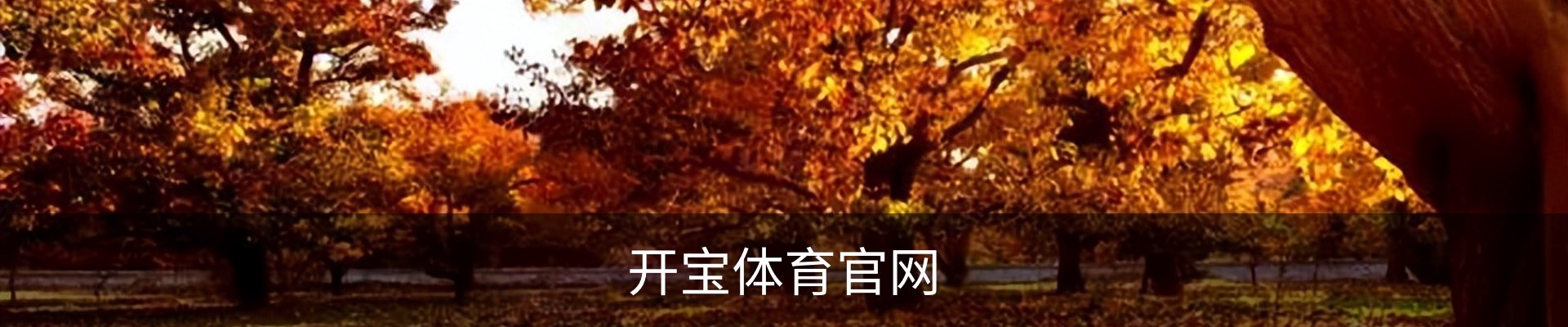 开宝体育官网