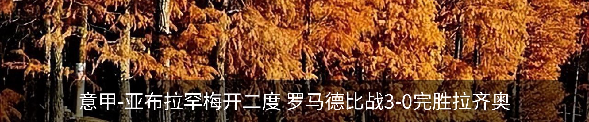 最新动态