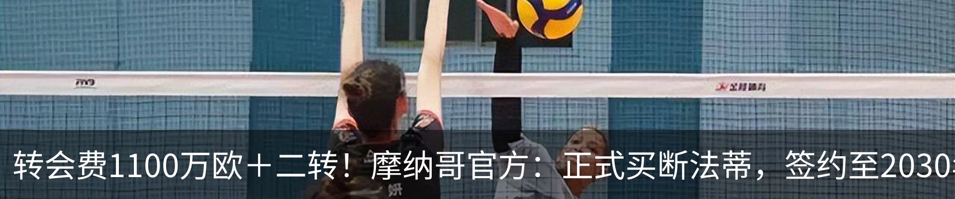 最新动态